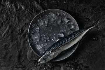 Top view of fresh raw mackerel in ice rocks on textured black background