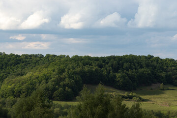 Transylavnian village life evolved around trees and animals