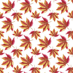 Watercolor seamless pattern with fallem leaves, autumn forest background.