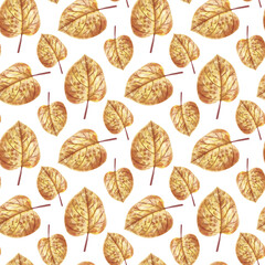 Watercolor seamless pattern with fallem leaves, autumn forest background.