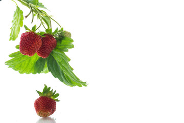 Ripe juicy red strawberry on white background