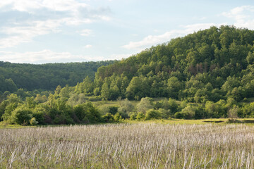 Transylavnian village life evolved around trees and animals