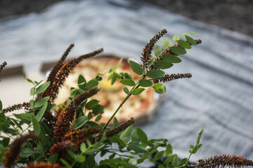 Picnic. Outdoor pizza, outdoor dining. Beautiful green nature on the lake