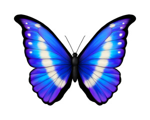Naklejka premium Blue tropical butterfly. Morpho rhetenor helena. Realistic vibrant detailed illustration. Isolated on white. South American butterfly.