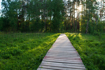 a tourist road made of wooden bars in the forest.view of the forest, road and gazebo.