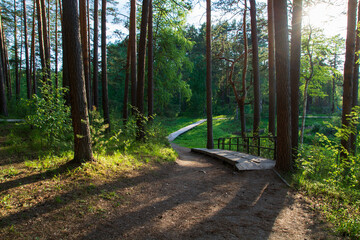 a tourist road made of wooden bars in the forest.view of the forest, road and gazebo.