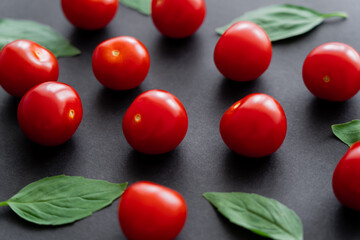 Close up view of natural cherry tomatoes and basil leaves on black background.