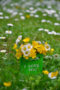 gift package with bouquet of yellow buttercups and wild daisies stands on the  field of  green grass and white daisies. Closeup photo .Greeting with love  concept. Free copy space.