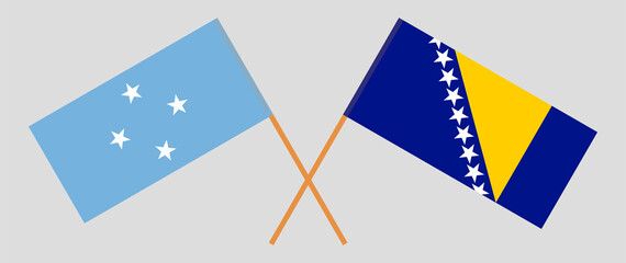 Crossed flags of Micronesia and Bosnia and Herzegovina. Official colors. Correct proportion