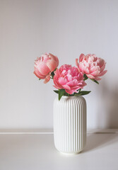Beautiful bunch of fresh Coral Charm peonies in full bloom in vase against white background. Minimalist floral still life with blooming flowers.