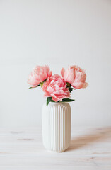 Beautiful bunch of fresh Coral Charm peonies in full bloom in vase against white background. Copy space for text. Minimalist floral still life with blooming flowers.