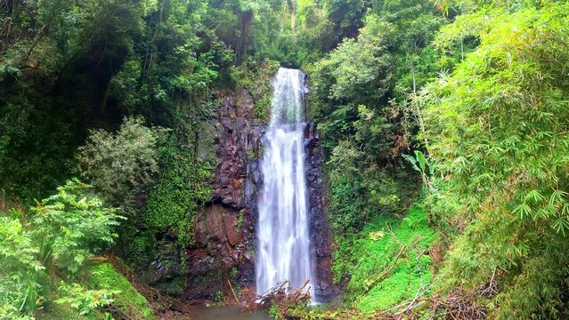 still image from Sao nicolau waterfall at Sao Tome,Africa
