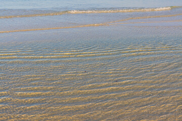 Seashells in The Sand Below The Clear Water on Marco Island Beach, Marco Island, Florida, USA