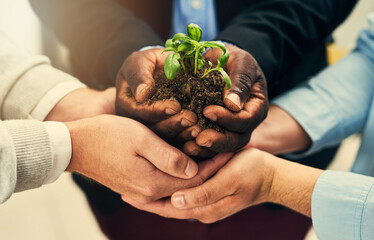 Youve got to start somewhere. Cropped shot of a group of businesspeople holding plants growing out of soil.