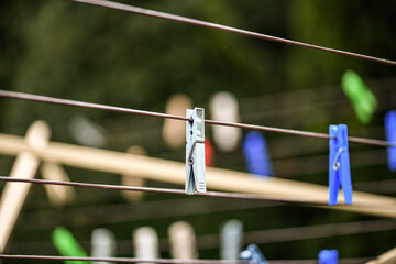 Blue clothespins for drying wet and washed clothes.