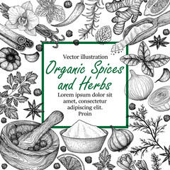 Vector frame of spices and herbs in engraving style. Rosemary, peppercorns, lavender, anise, cinnamon, onion, mint, lemon, chili pepper, curry, parsley, garlic, dill, ginger, saffron, basil, vanilla © Viktoriia Holovko