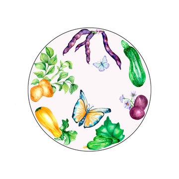 Variety of vegetables and butterflies watercolor illustration isolated