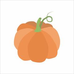 Orange pumpkin. Vector illustration isolated on white background.