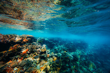 Fototapeta na wymiar Panorama Underwater coral reef on the red sea