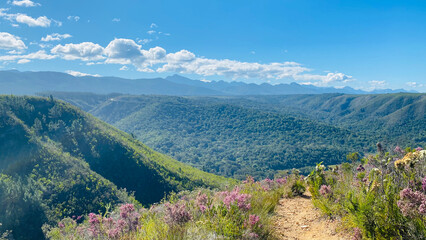 Crisp Morning on a Mountain, Garden Route, Nature Valley