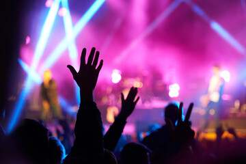 Fototapeta na wymiar They love rock n roll. Rear view shot of a crowd enjoying a live musical performance.