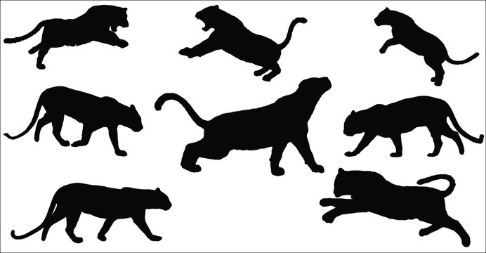 set of silhouette wild black panther