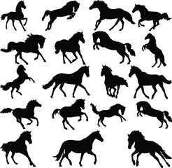 The set of the silhouette horse collection
