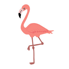 Flamingo flat cartoon vector illustration