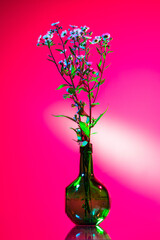 Beautiful bouquet of flowers, abstract floral composition in glass vase over pink, magenta background in neon light. Concept of floristry, decorations, creativity, decor