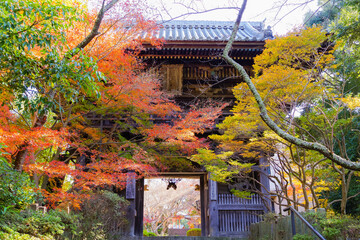 松尾寺（大阪府和泉市）の紅葉