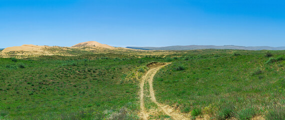 Fototapeta na wymiar road in semi-desert steppe landscape in the vicinity of the Sarykum sand dune