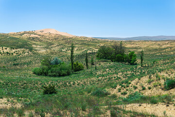Fototapeta na wymiar semi-desert spring landscape in the vicinity of the Sarykum sand dune