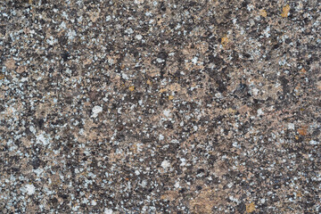 background, texture - a wall of even stone blocks, covered with lichen from old age