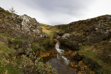 Small creek flowing between volcanic rocks in rural Iceland with Dwarf Willow (Salix herbacea) on the foreground