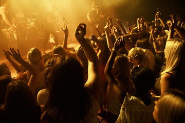 Shot of a crowd dancing at a rock concert. This concert was created for the sole purpose of this photo shoot, featuring 300 models and 3 live bands. All people in this shoot are model released. - obrazy, fototapety, plakaty