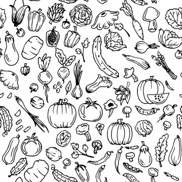 Delicious vegetables. Garden fruits. Edible food plants. Seamless pattern. Hand drawn outline. Monochrome drawing. Isolated on white background. Vector