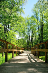 Fototapeta na wymiar wooden pathway in forest Park. beautiful green natural landscape with ecological path. spring summer season. ecology, environmental conservation, ecotourism, relax, recreation concept