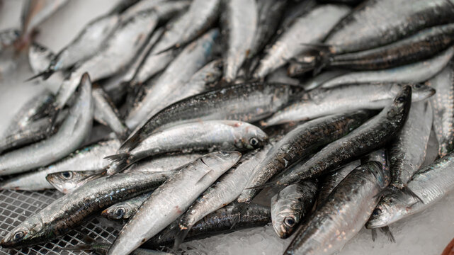 peixe mercado