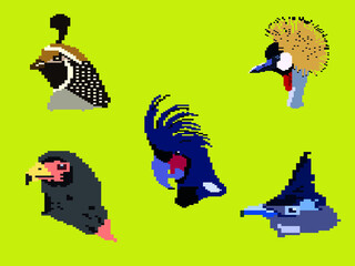 colorful bird head pixel art collection