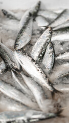 Obraz premium peixe mercado