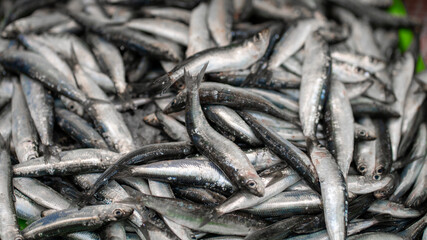 Obraz premium peixe mercado