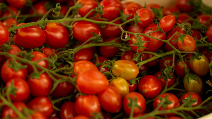 tomates