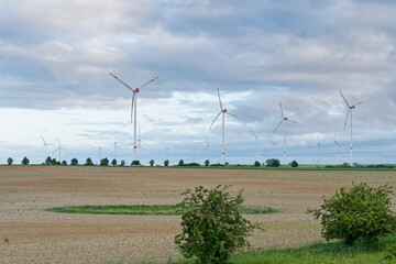 Energia odnawialna wiatraki - obrazy, fototapety, plakaty