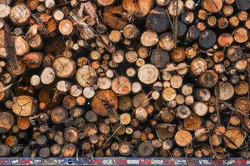 Chopped wooden logs stacked on pallet