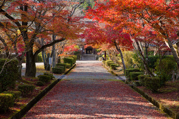 三寶寺（兵庫県丹波市）の紅葉