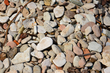 colorful pebbles on the beach, close-up