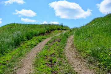 country track leading to the sky with clouds in summer