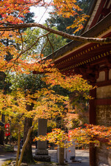 石龕寺（兵庫県丹波市）の紅葉