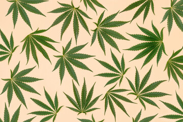 Creative pattern made with green marijuana, cannabis leaves on a pastel sand color background. Minimal CBD OIL concept. Legal or illegal drug levels.