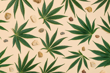 Creative pattern made with sunlit green marijuana, cannabis leaves and sea pebbles, stones  on a pastel sand color background. Minimal CBD OIL summer concept. Legal or illegal drug levels.